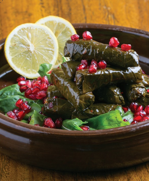 DEREVOV DOLMA HAYGAGAN