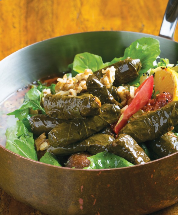 Tepov Dolma